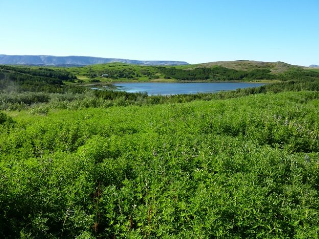 Hvaleyrarvatn-sed-fra-Beitarhusahalsi